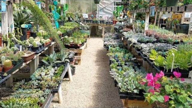 world's best nursery